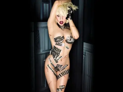Lady Gaga Fridge Magnet picture 144889