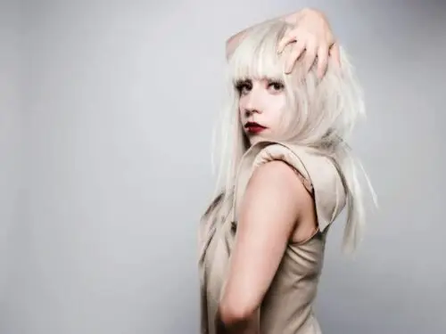 Lady Gaga Jigsaw Puzzle picture 145078
