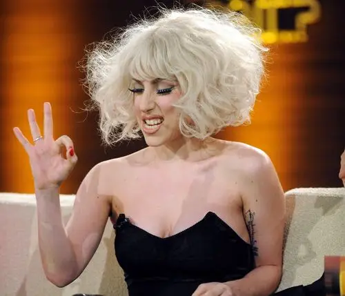 Lady Gaga Fridge Magnet picture 145204