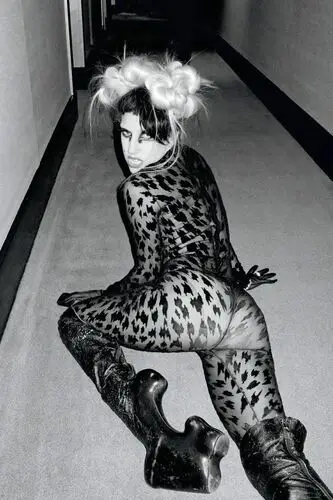 Lady Gaga Fridge Magnet picture 145283