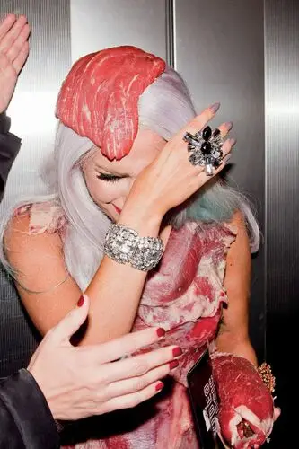 Lady Gaga Fridge Magnet picture 145330