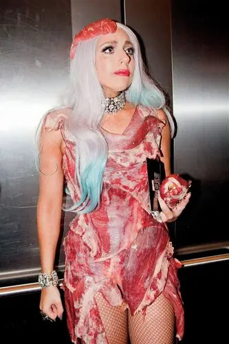Lady Gaga Fridge Magnet picture 145331
