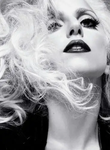 Lady Gaga Fridge Magnet picture 23042