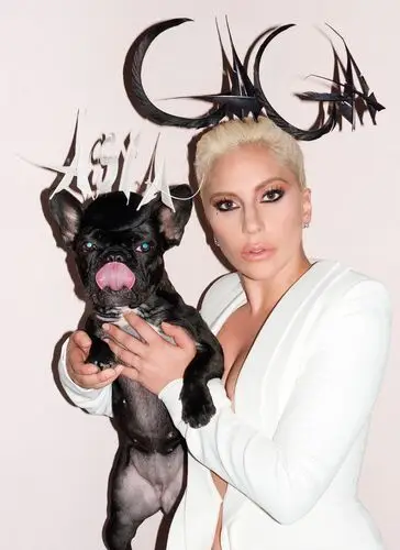 Lady Gaga Fridge Magnet picture 456281