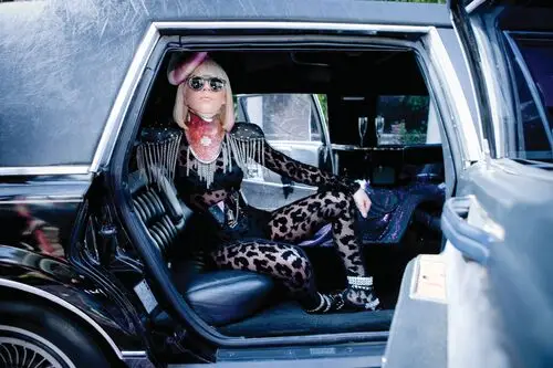 Lady Gaga Jigsaw Puzzle picture 60676