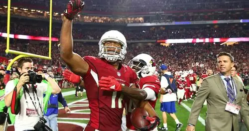 Larry Fitzgerald Protected Face mask - idPoster.com