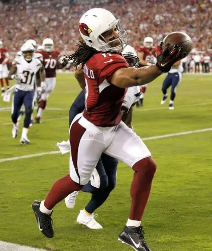 Larry Fitzgerald Computer MousePad picture 719938