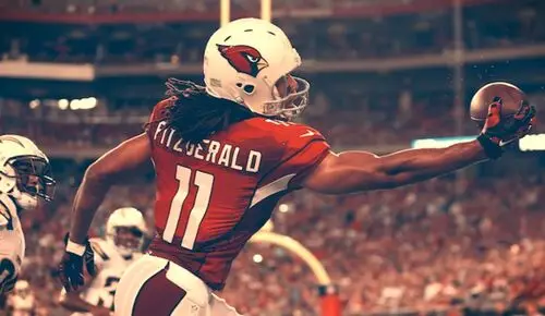 Larry Fitzgerald Jigsaw Puzzle picture 719948