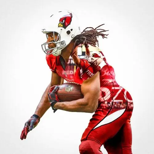 Larry Fitzgerald Wall Poster picture 719957