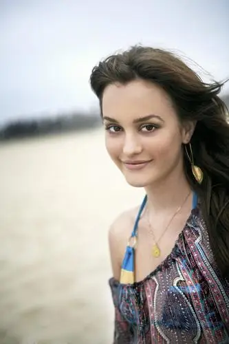 Leighton Meester Wall Poster picture 365571