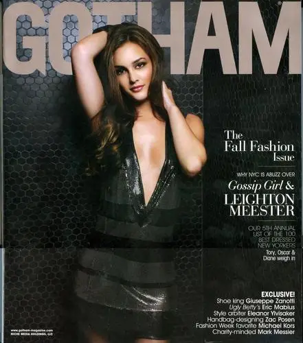 Leighton Meester Jigsaw Puzzle picture 51064