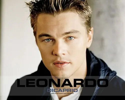 Leonardo DiCaprio Kitchen Apron - idPoster.com