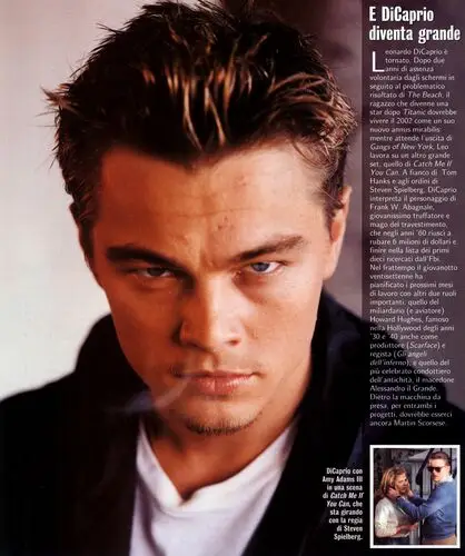 Leonardo DiCaprio Wall Poster picture 13176