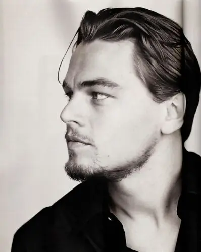 Leonardo DiCaprio Wall Poster picture 13195