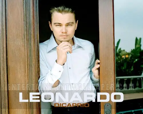 Leonardo DiCaprio Kitchen Apron - idPoster.com
