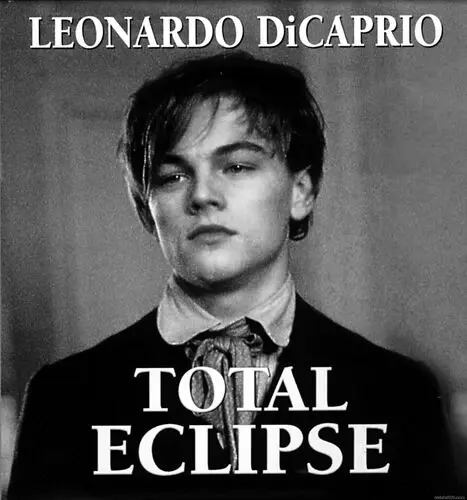 Leonardo DiCaprio Wall Poster picture 204376