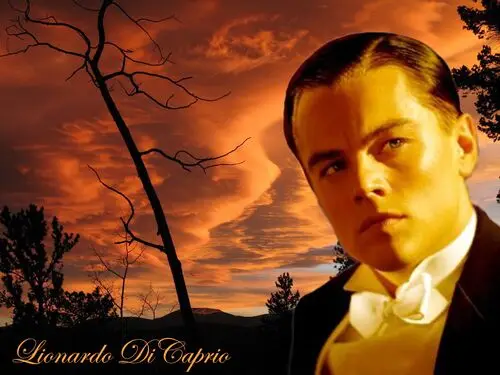 Leonardo DiCaprio Wall Poster picture 204393