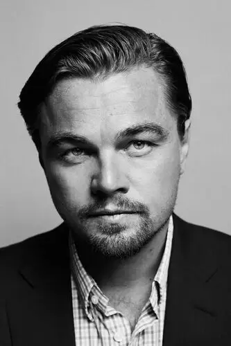 Leonardo DiCaprio Wall Poster picture 459194