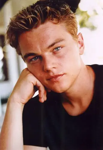 Leonardo DiCaprio Wall Poster picture 482058