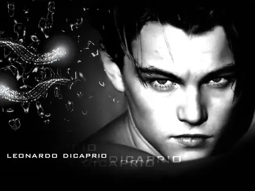 Leonardo DiCaprio Jigsaw Puzzle picture 79669
