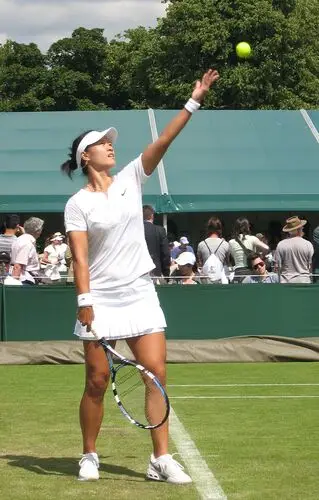 Li Na Wall Poster picture 218177
