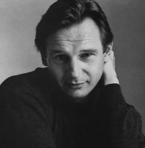 Liam Neeson Wall Poster picture 494951