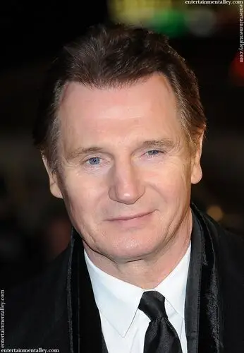 Liam Neeson Jigsaw Puzzle picture 97578