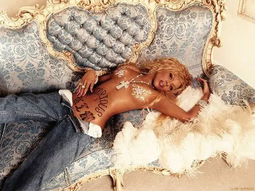 Lil Kim Wall Poster picture 146312