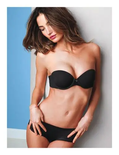 Lily Aldridge Wall Poster picture 770167