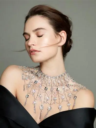 Lily James Wall Poster picture 11244