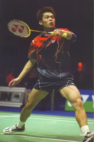 Lin Dan Wall Poster picture 146412