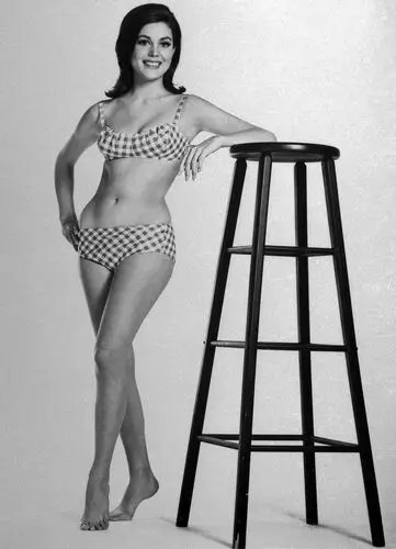 Linda Harrison Wall Poster picture 764746