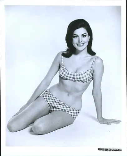 Linda Harrison Wall Poster picture 764755