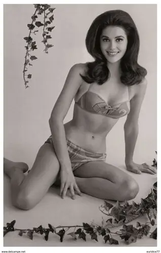 Linda Harrison Wall Poster picture 764761