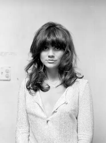 Linda Ronstadt and The Stone Poneys Image Jpg picture 951580