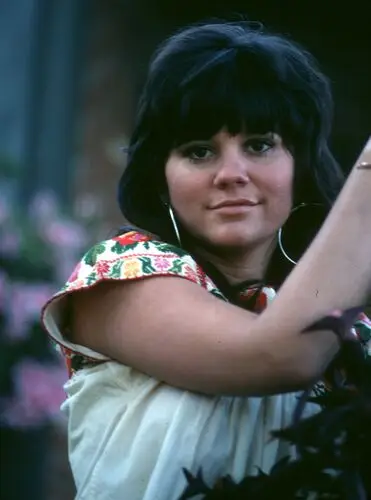 Linda Ronstadt and The Stone Poneys Image Jpg picture 951586