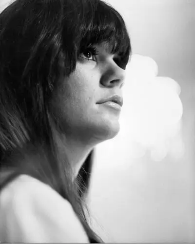 Linda Ronstadt and The Stone Poneys Wall Poster picture 951626