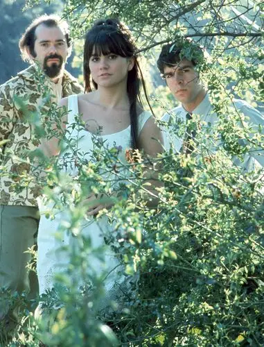 Linda Ronstadt and The Stone Poneys Image Jpg picture 951627