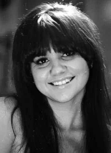 Linda Ronstadt and The Stone Poneys Jigsaw Puzzle picture 951628