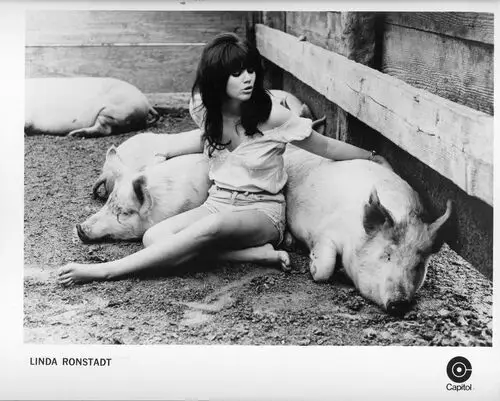 Linda Ronstadt and The Stone Poneys Image Jpg picture 951631