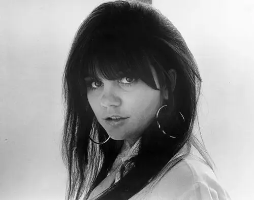 Linda Ronstadt and The Stone Poneys Fridge Magnet picture 951642