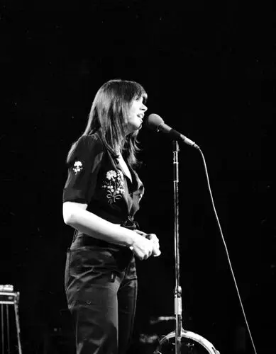 Linda Ronstadt and The Stone Poneys Men's Colored T-Shirt - idPoster.com