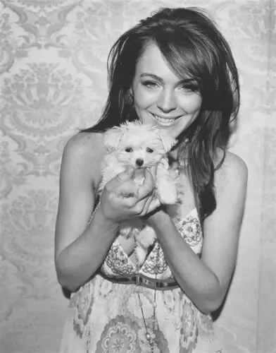 Lindsay Lohan Wall Poster picture 13380