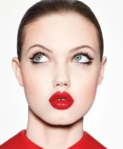 Lindsey Wixson Wall Poster picture 365945