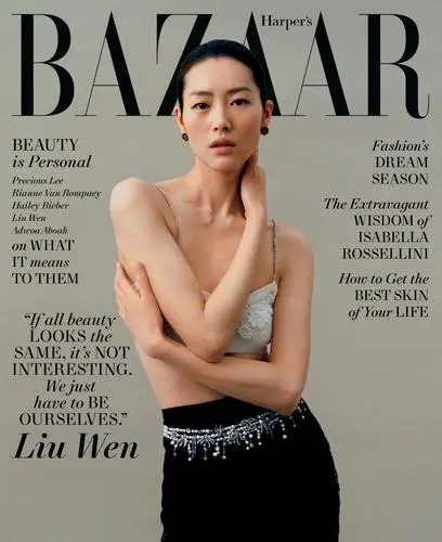 Liu Wen Wall Poster picture 1024138