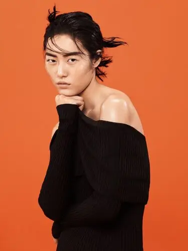 Liu Wen Wall Poster picture 735897