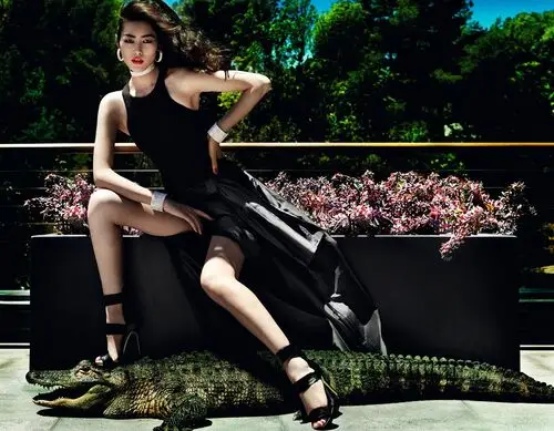 Liu Wen Wall Poster picture 735910