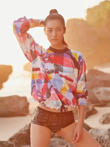 Liu Wen Wall Poster picture 735914