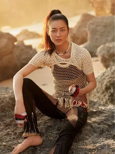 Liu Wen Wall Poster picture 735916