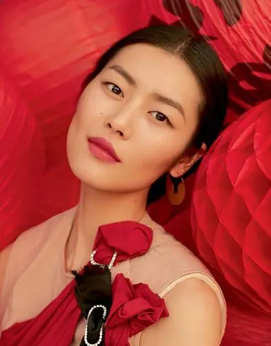 Liu Wen Wall Poster picture 735928